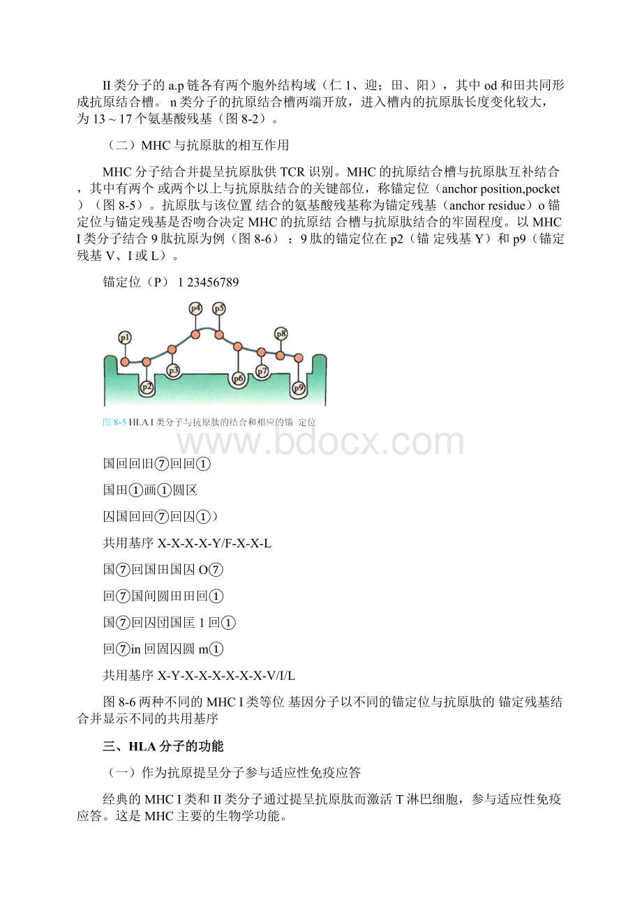 《医学免疫学》人卫第9版教材高清彩色81120.docx_第3页