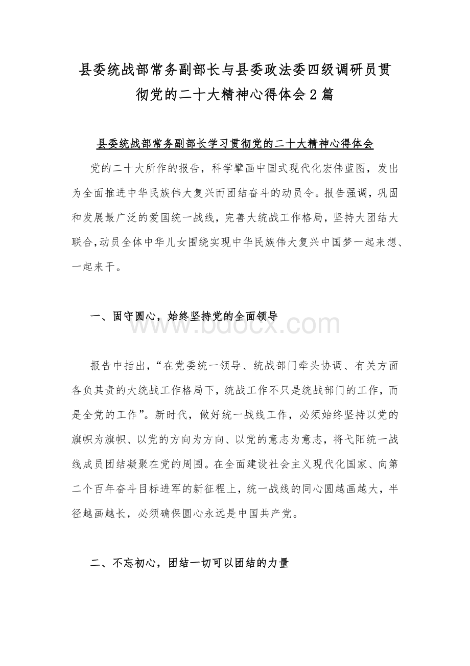 县委统战部常务副部长与县委政法委四级调研员贯彻党的二20十大精神心得体会2篇Word文件下载.docx_第1页