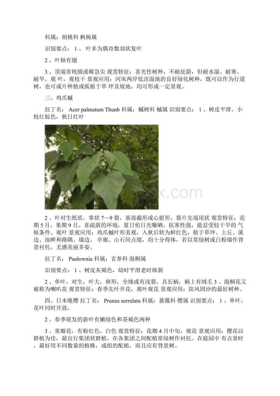 植物识别报告.docx_第2页