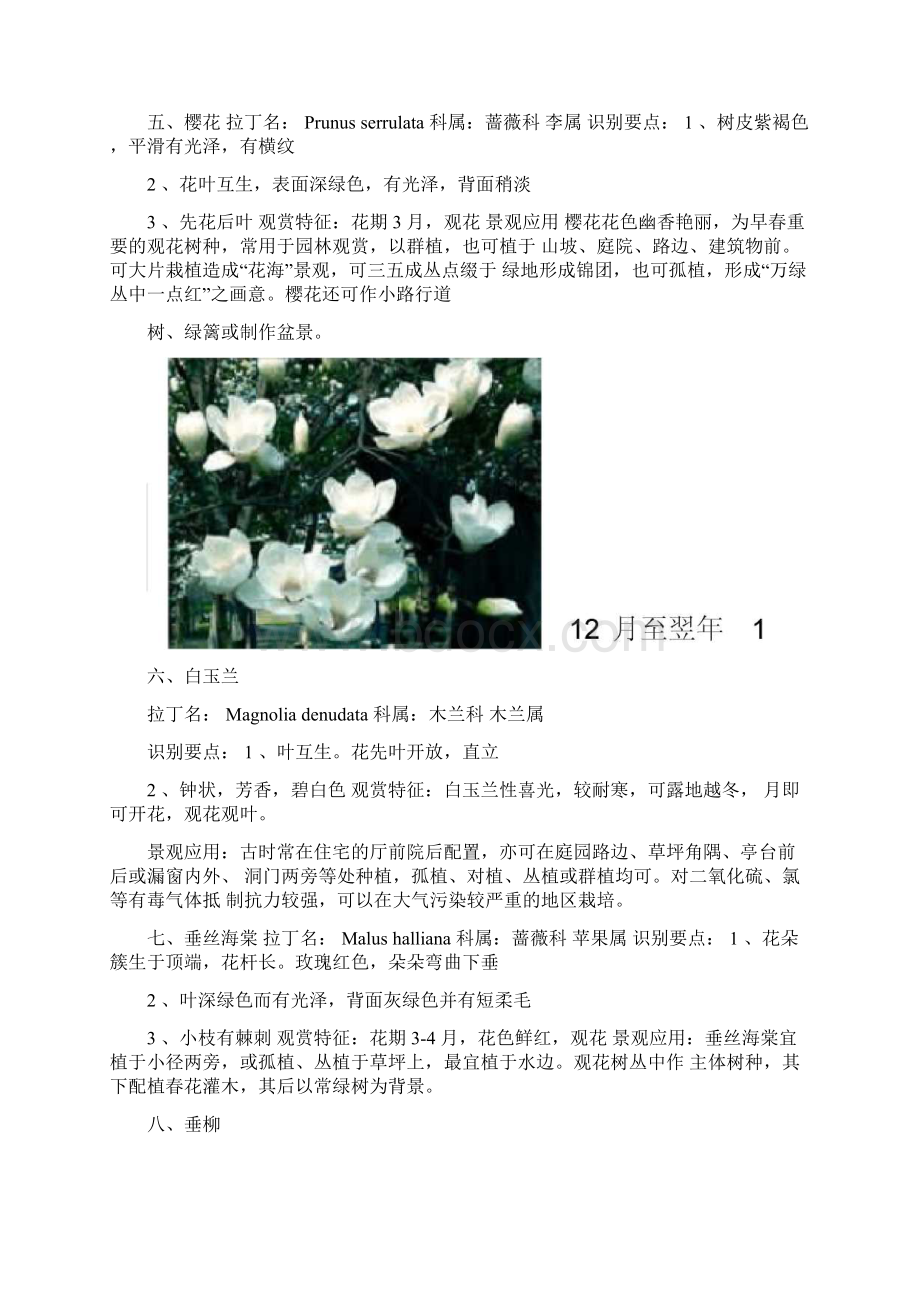 植物识别报告Word格式.docx_第3页