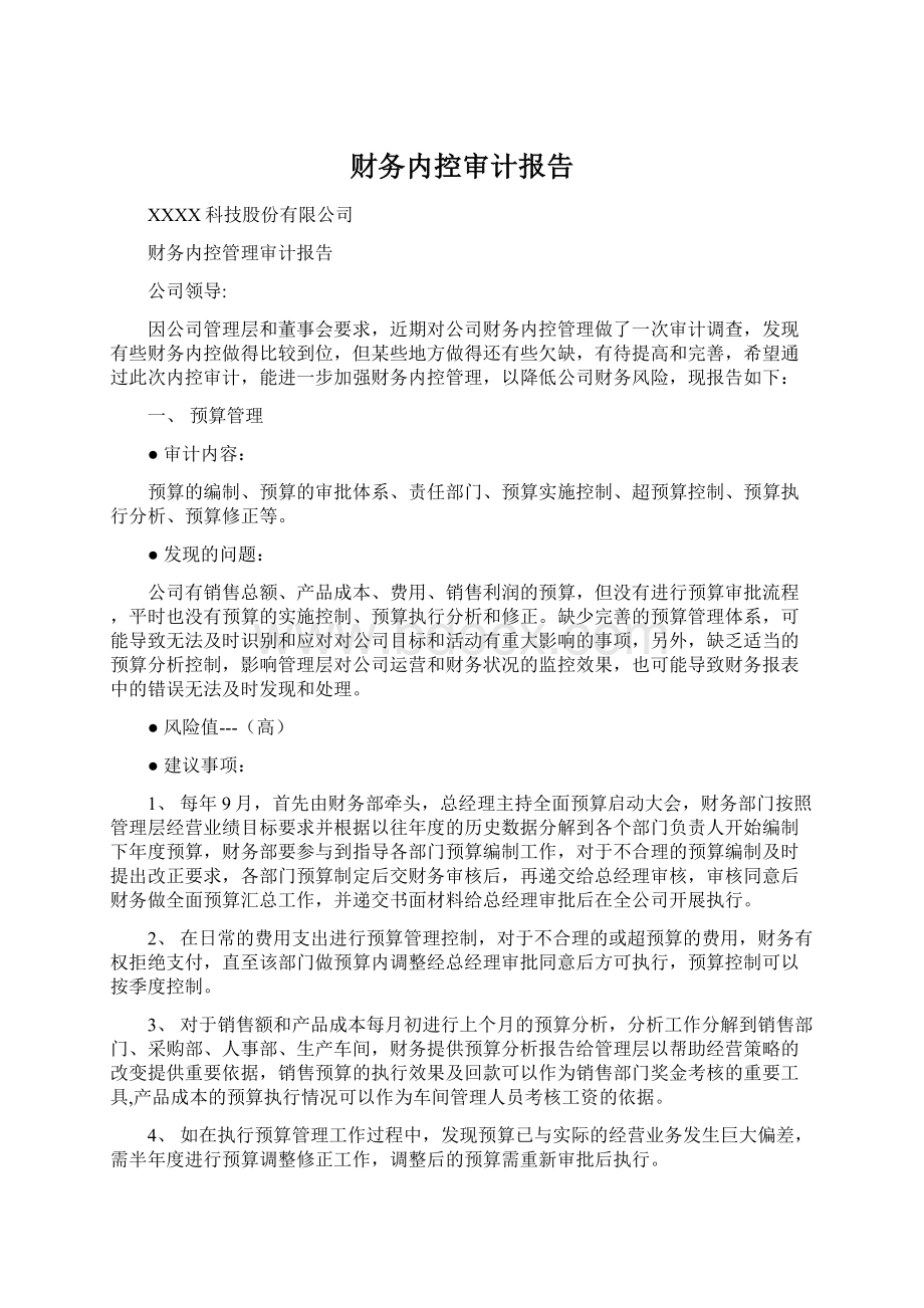 财务内控审计报告.docx