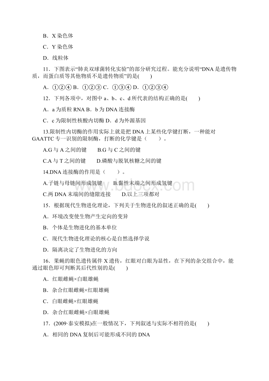 成才之路XXXX高中生物必修二新课标人教版综合检测题参照模板Word格式.docx_第3页