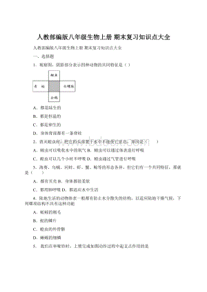 人教部编版八年级生物上册 期末复习知识点大全文档格式.docx