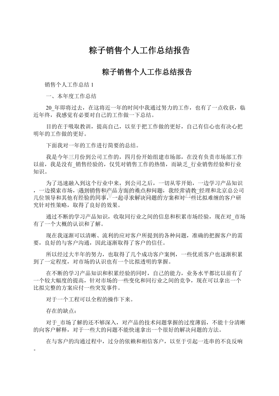 粽子销售个人工作总结报告.docx_第1页