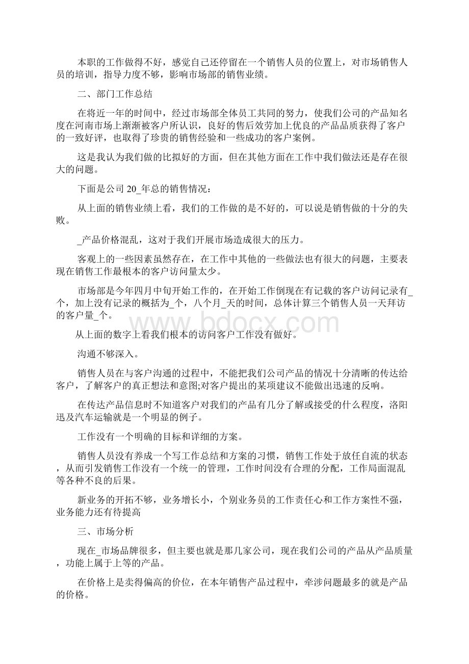 粽子销售个人工作总结报告.docx_第2页