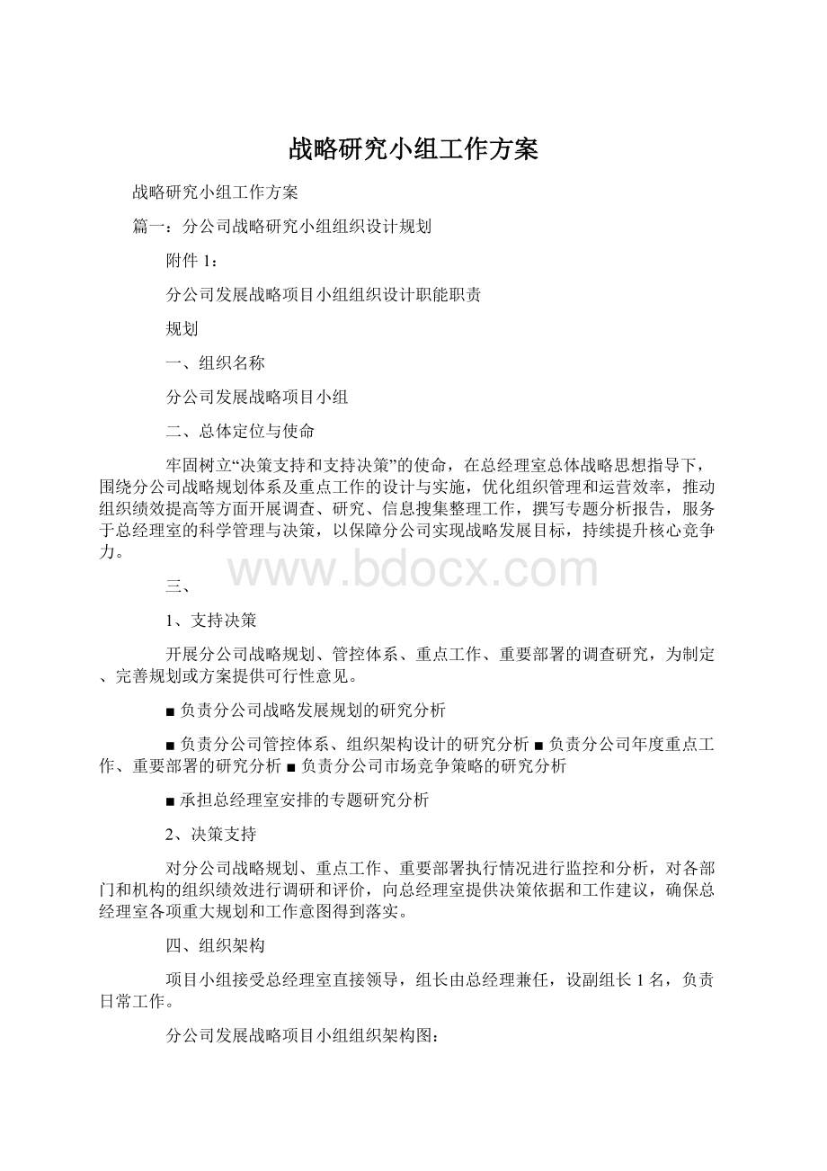 战略研究小组工作方案Word文档格式.docx