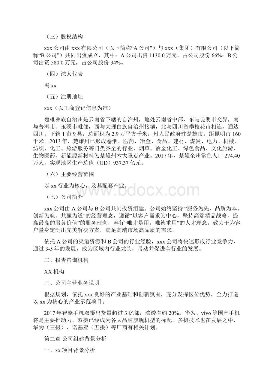 楚雄彝族自治州项目可行性研究报告可编辑模板Word格式.docx_第2页