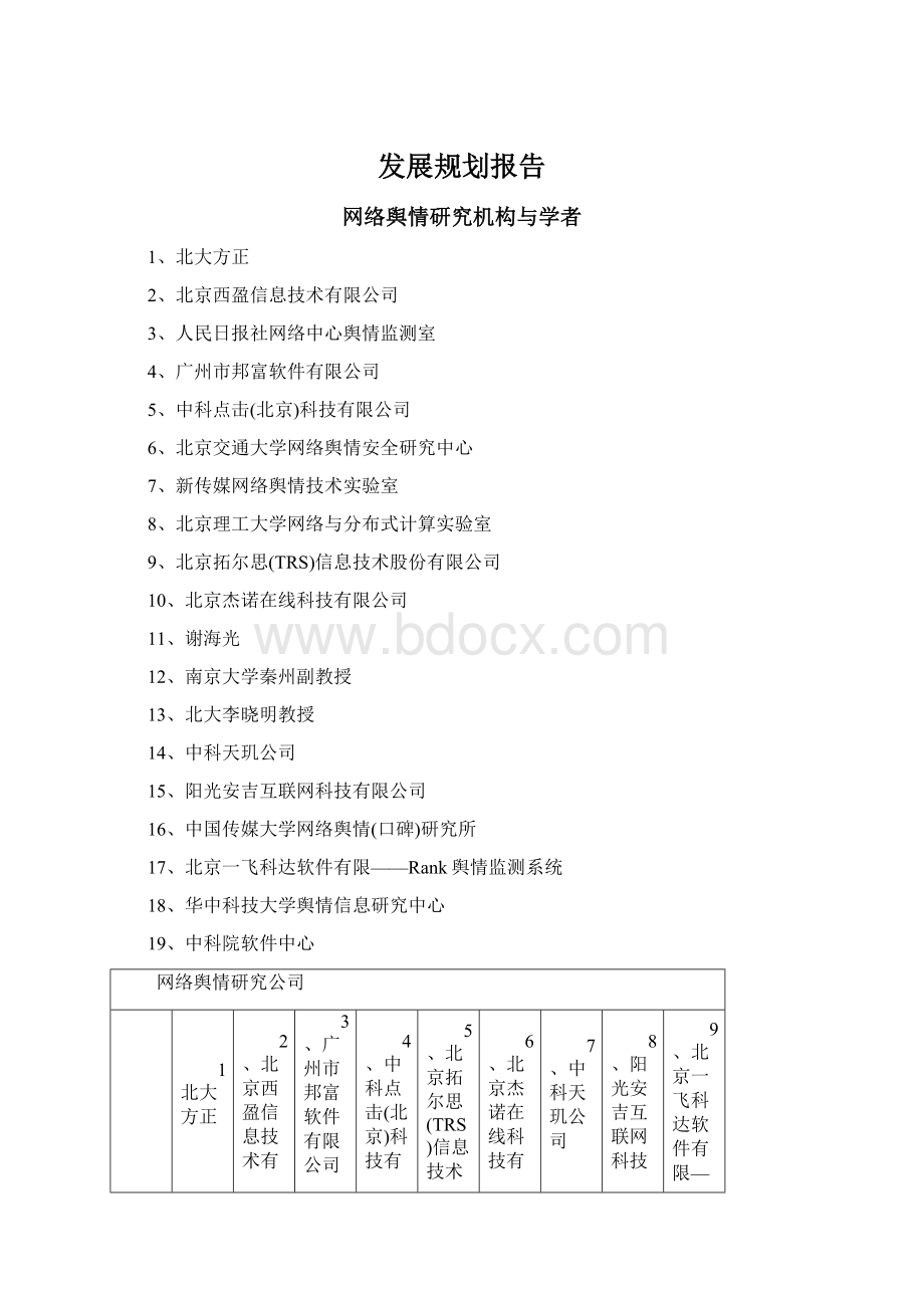 发展规划报告Word文档格式.docx