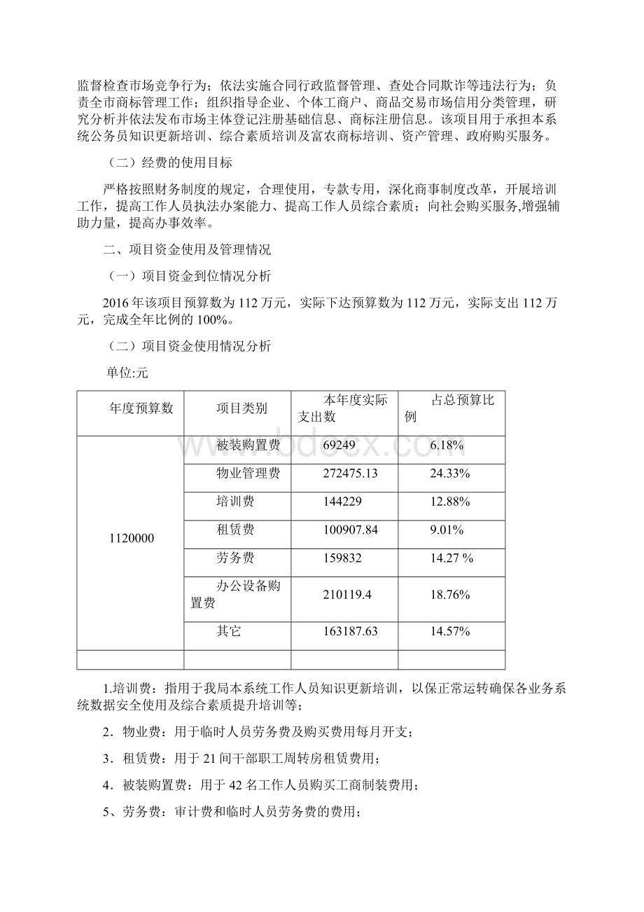 财政支出项目绩效自评报告Word文件下载.docx_第2页