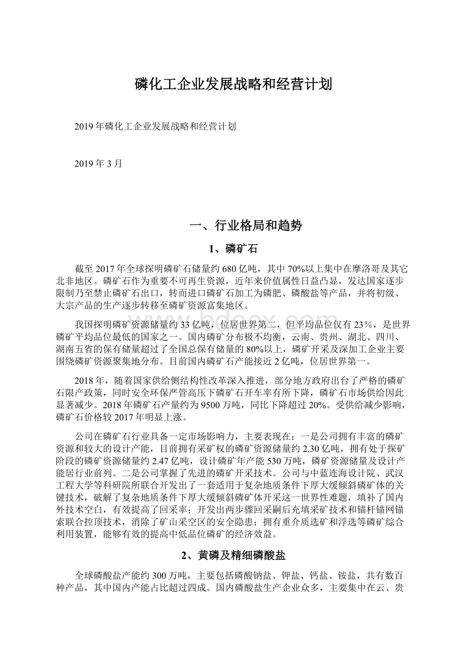 磷化工企业发展战略和经营计划.docx_第1页