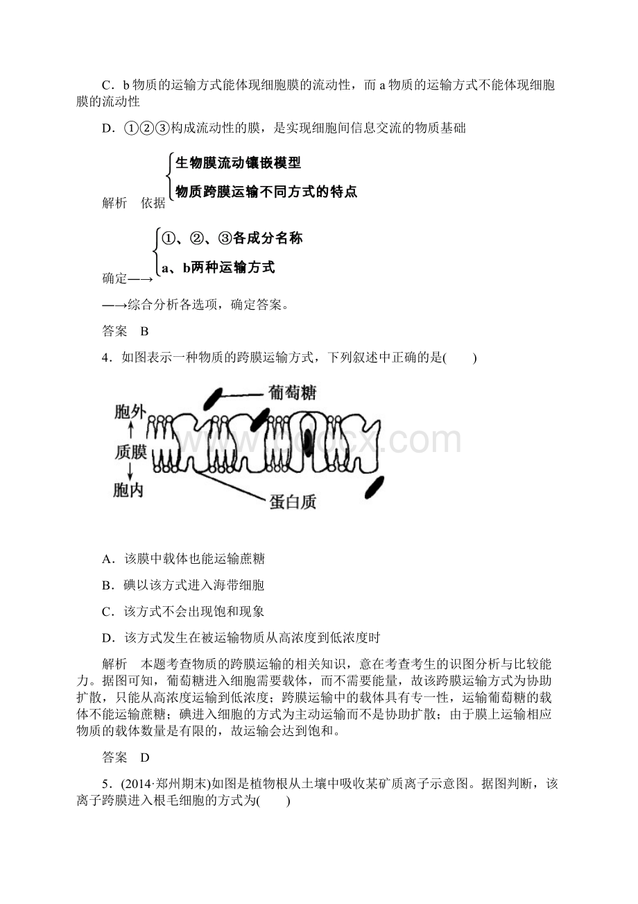 名师一号届高考生物总复习体验双基考题第8讲 生物膜的流动镶嵌模型与物质跨膜运输方式.docx_第3页