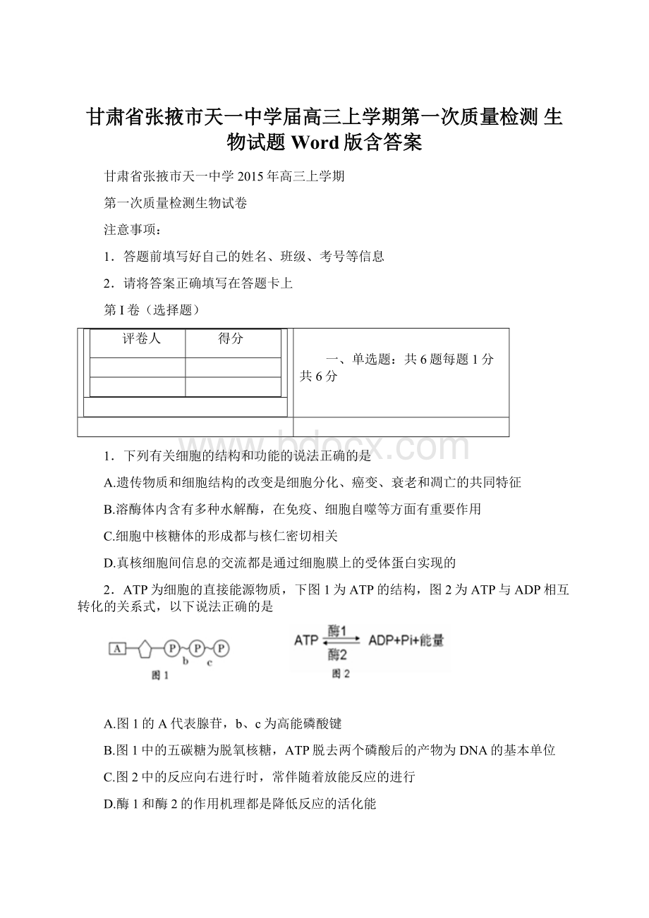 甘肃省张掖市天一中学届高三上学期第一次质量检测 生物试题 Word版含答案.docx_第1页