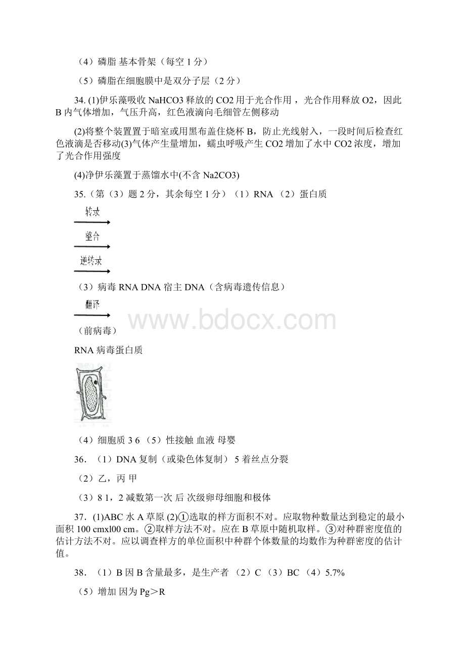 高生物模拟试题参考答案Word文档格式.docx_第3页