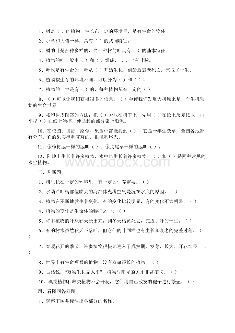 人教版小学三年级上册科学单元测试.docx_第2页