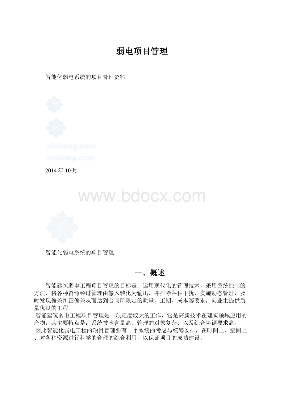 弱电项目管理.docx_第1页