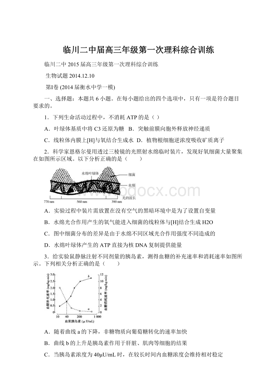 临川二中届高三年级第一次理科综合训练.docx_第1页