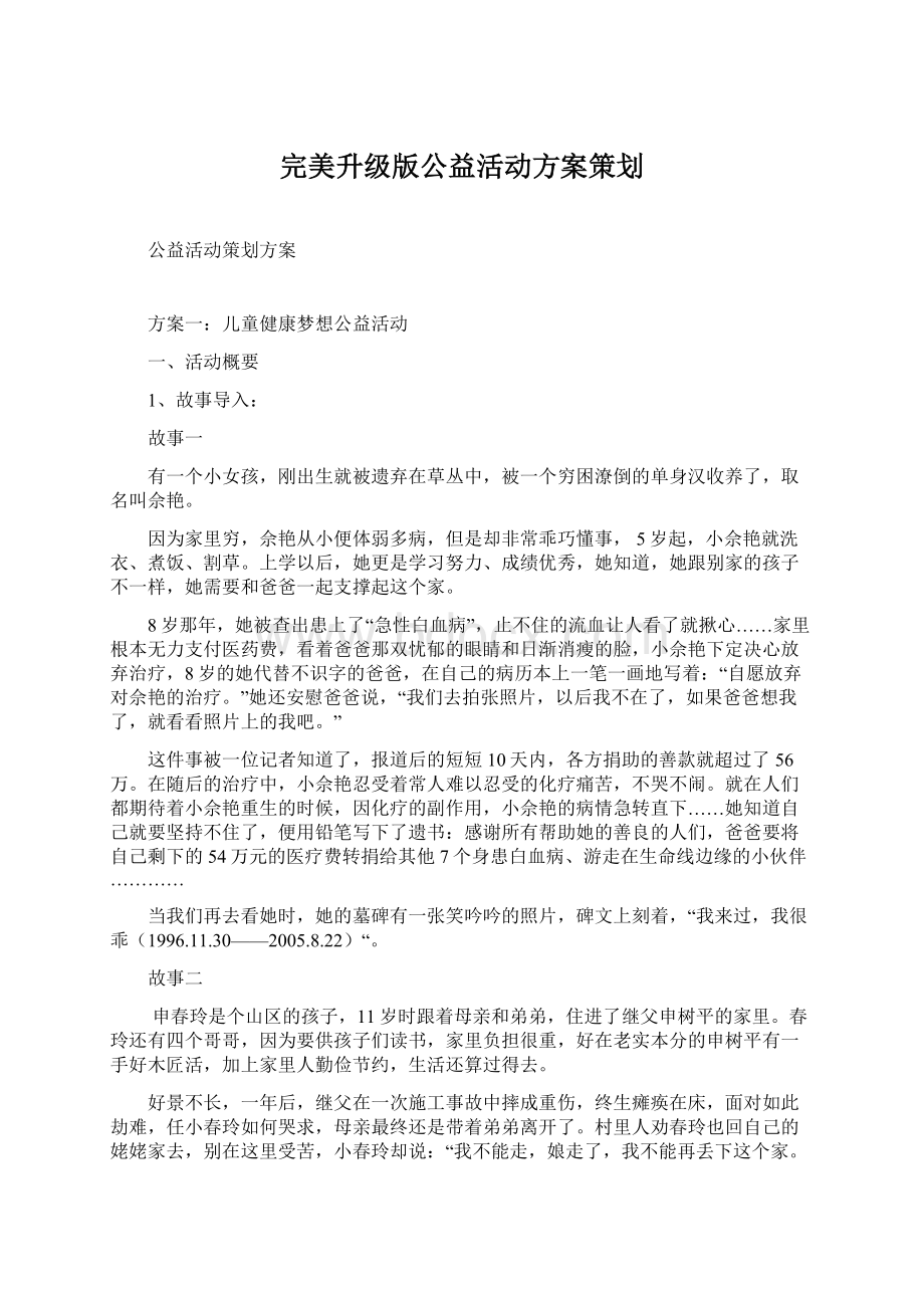 完美升级版公益活动方案策划.docx_第1页