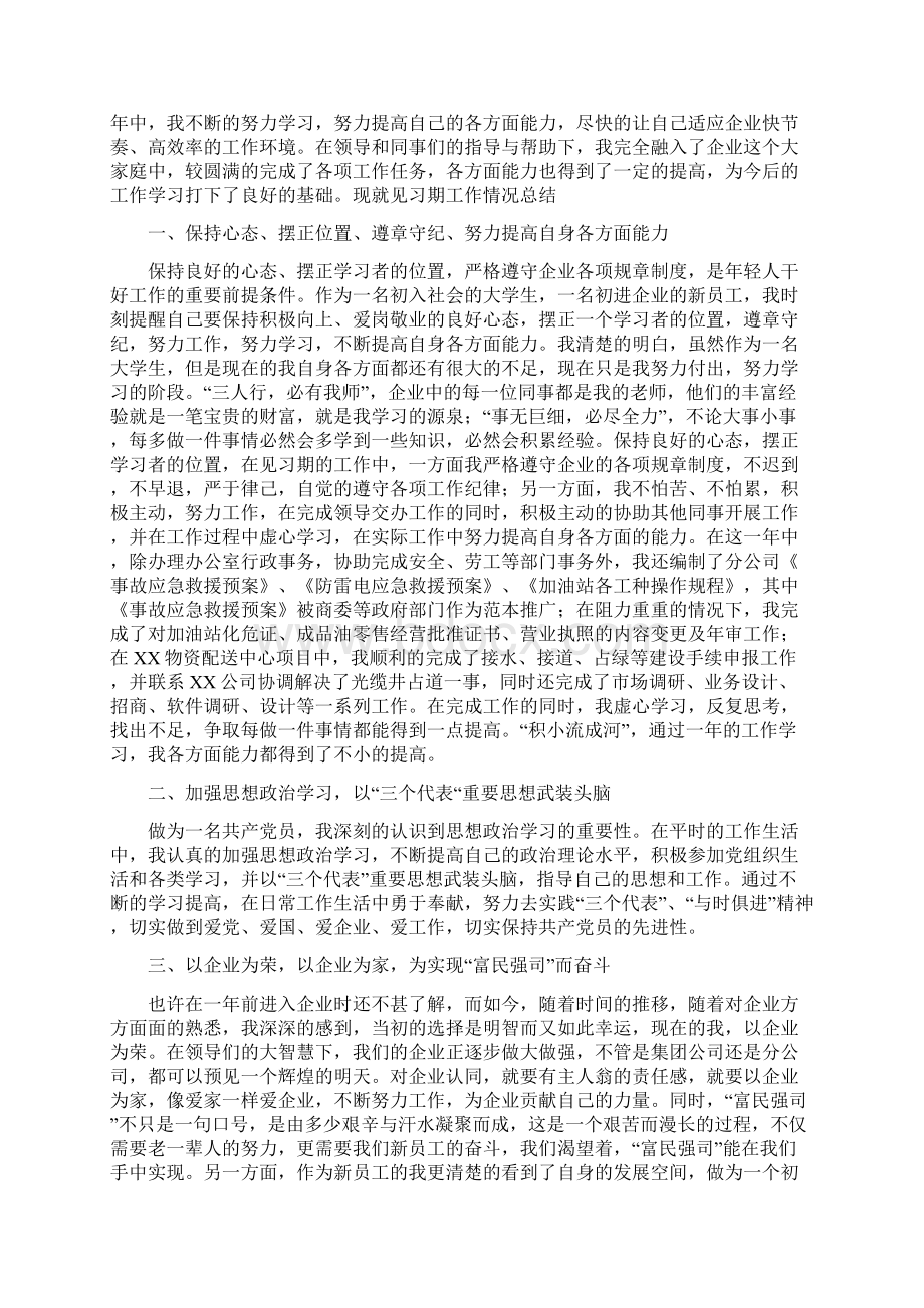 程序员试用期转正工作总结5四篇Word格式文档下载.docx_第3页