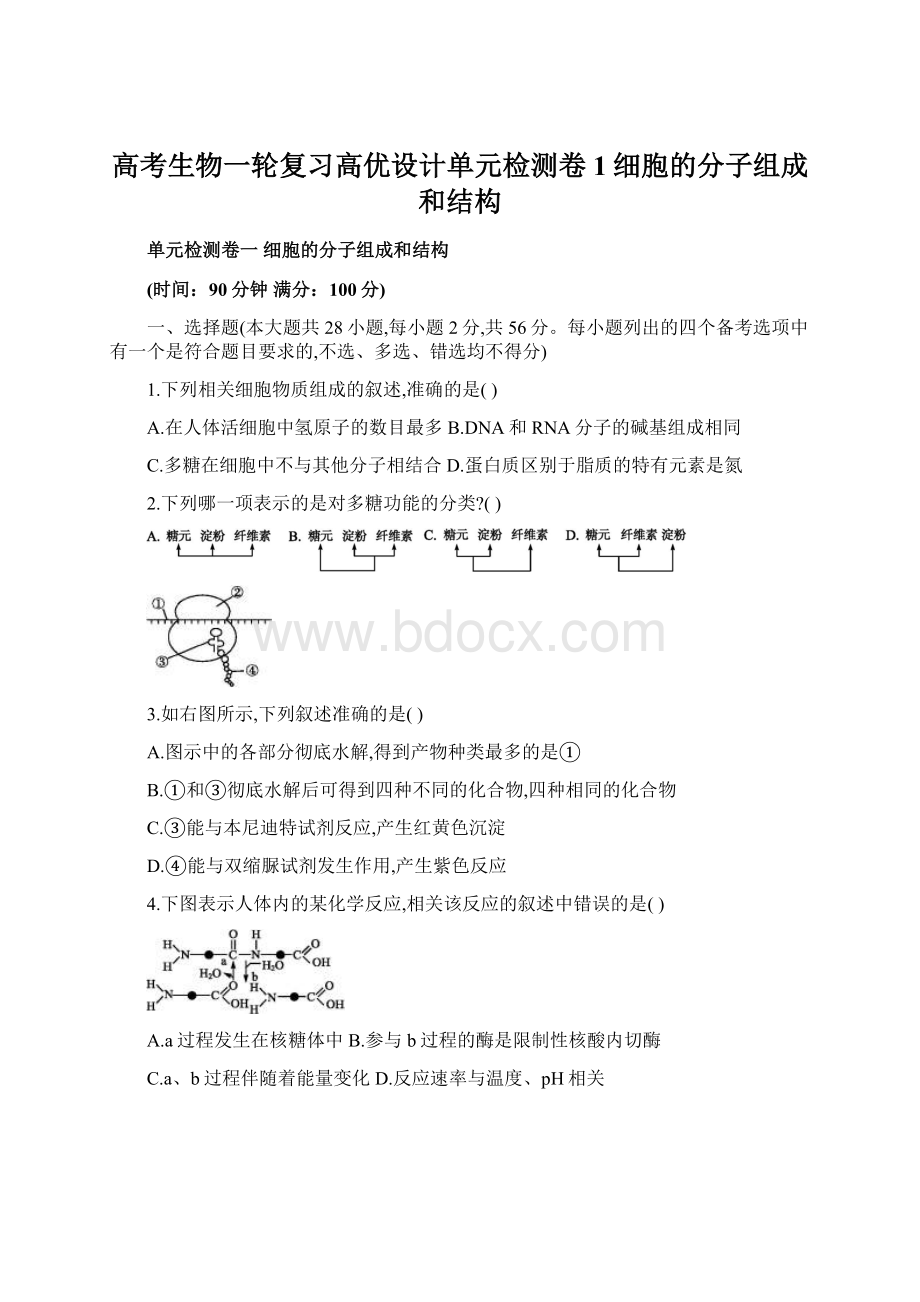 高考生物一轮复习高优设计单元检测卷1细胞的分子组成和结构Word文档格式.docx