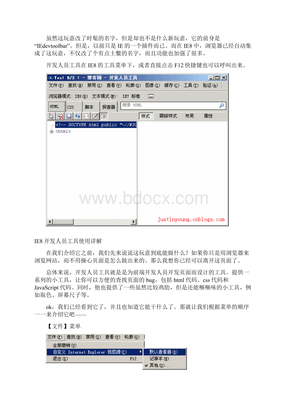 IE8开发人员工具使用详解Word格式.docx_第2页