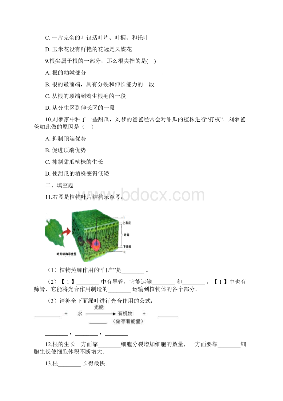 北师大版七年级上册生物 362营养器官的生长 同步测试.docx_第3页