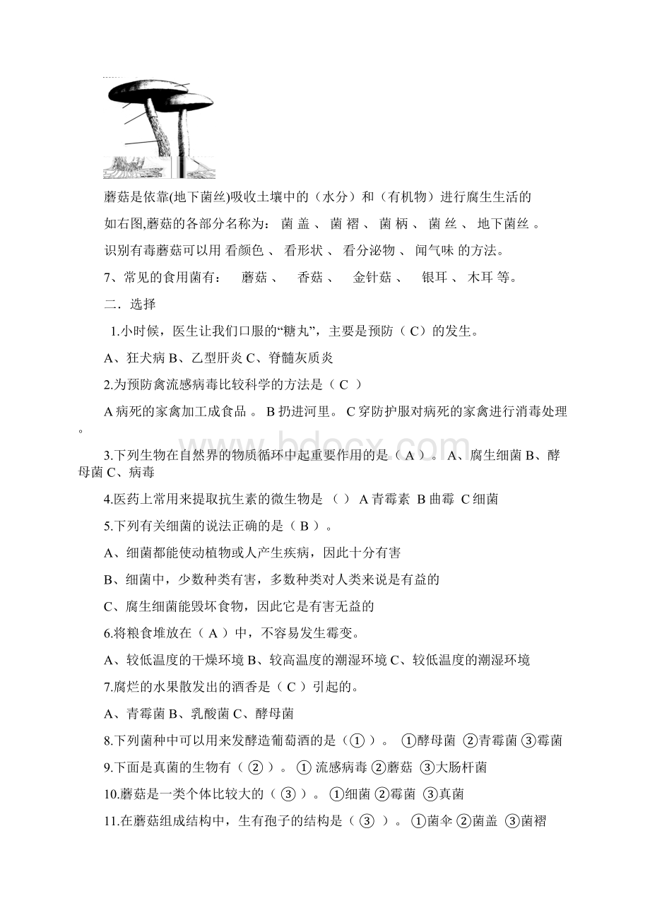 整理青岛版科学上册复习题Word文档下载推荐.docx_第2页