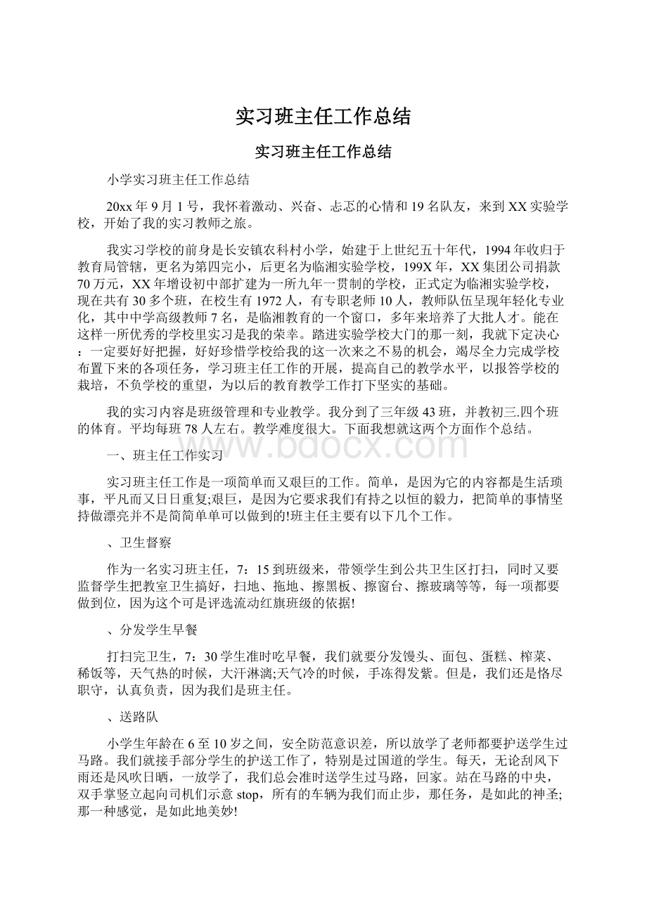 实习班主任工作总结.docx_第1页