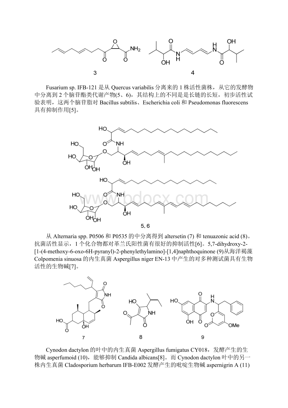 植物内生菌的抗菌杀虫活性总结论文Word文档格式.docx_第2页