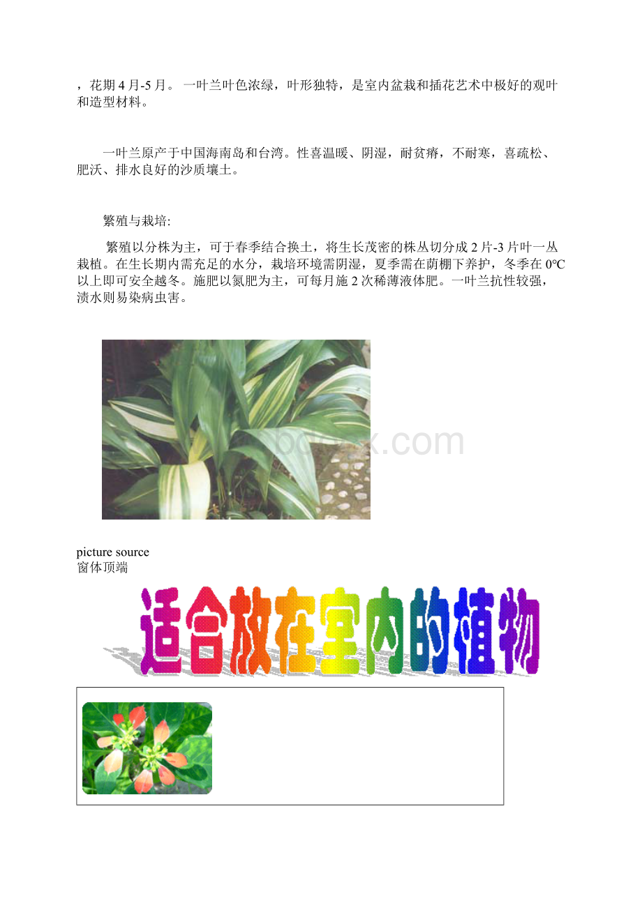 家居植物.docx_第2页