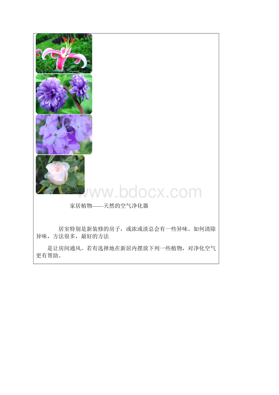 家居植物Word格式文档下载.docx_第3页