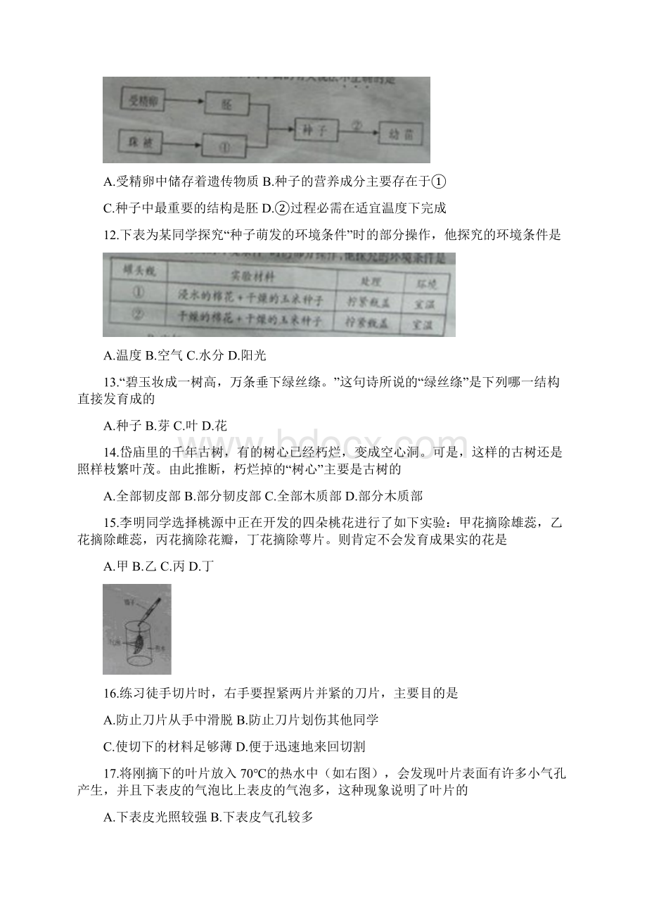 山东省泰安市生物中考试题WORD版有答案.docx_第3页