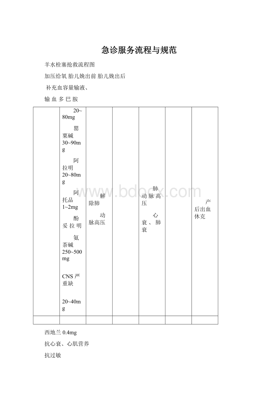 急诊服务流程与规范Word文档下载推荐.docx_第1页