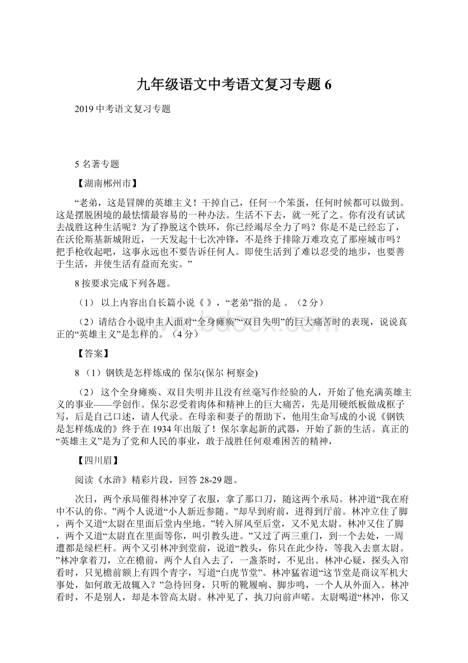 九年级语文中考语文复习专题6.docx_第1页