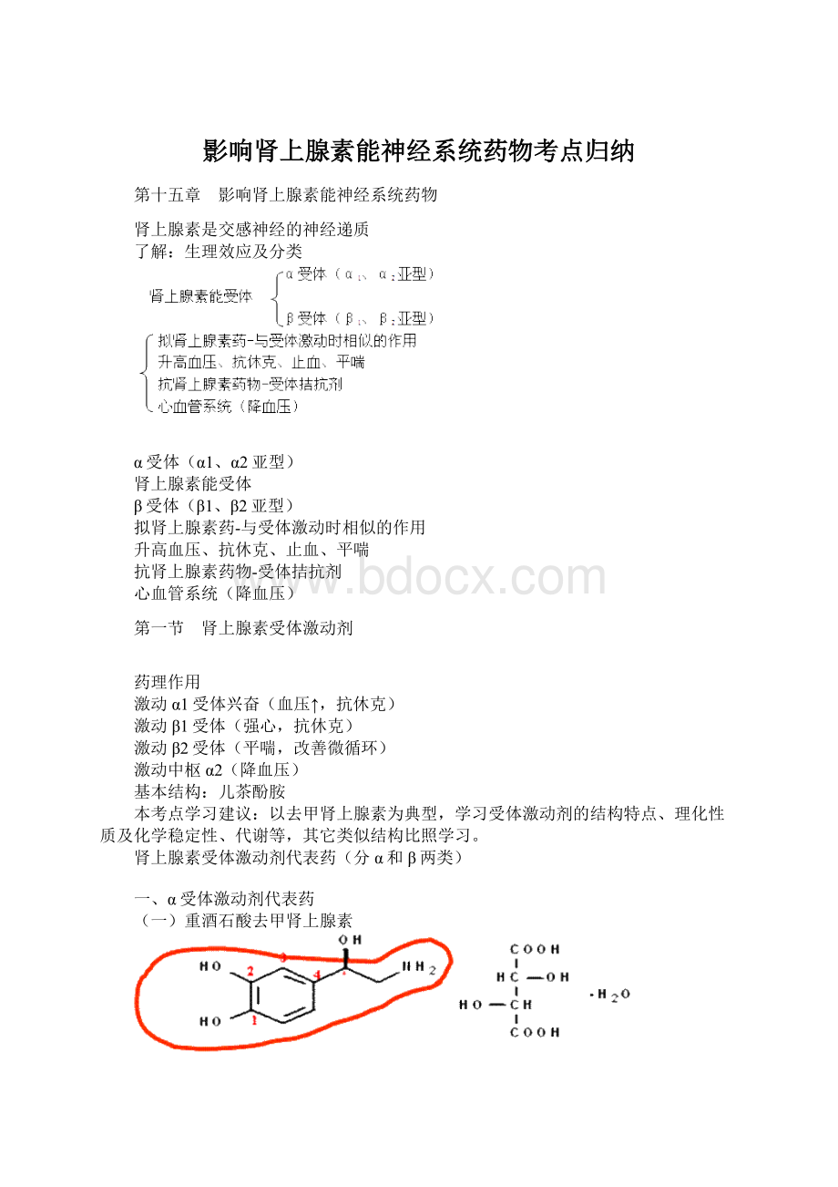 影响肾上腺素能神经系统药物考点归纳.docx_第1页