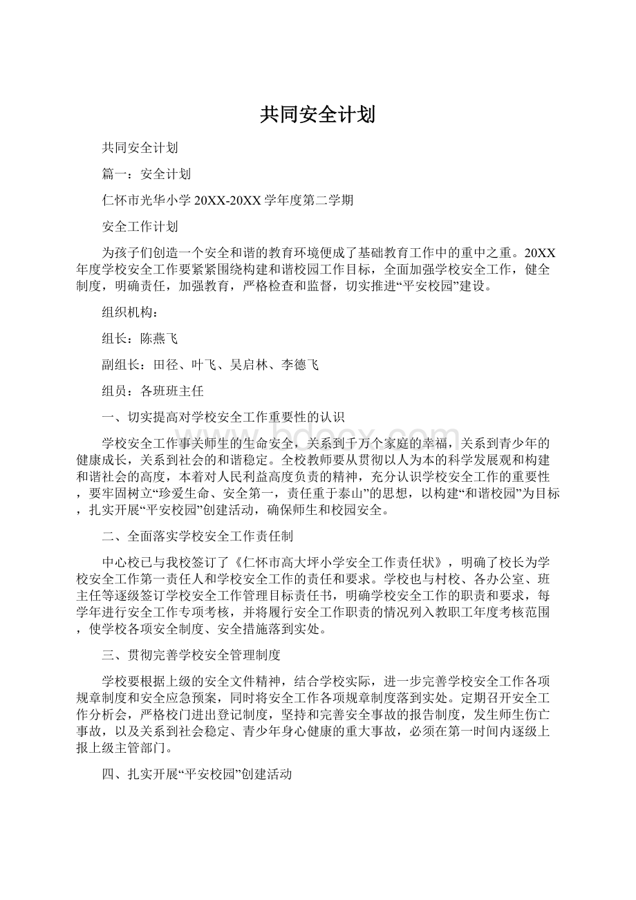 共同安全计划.docx_第1页