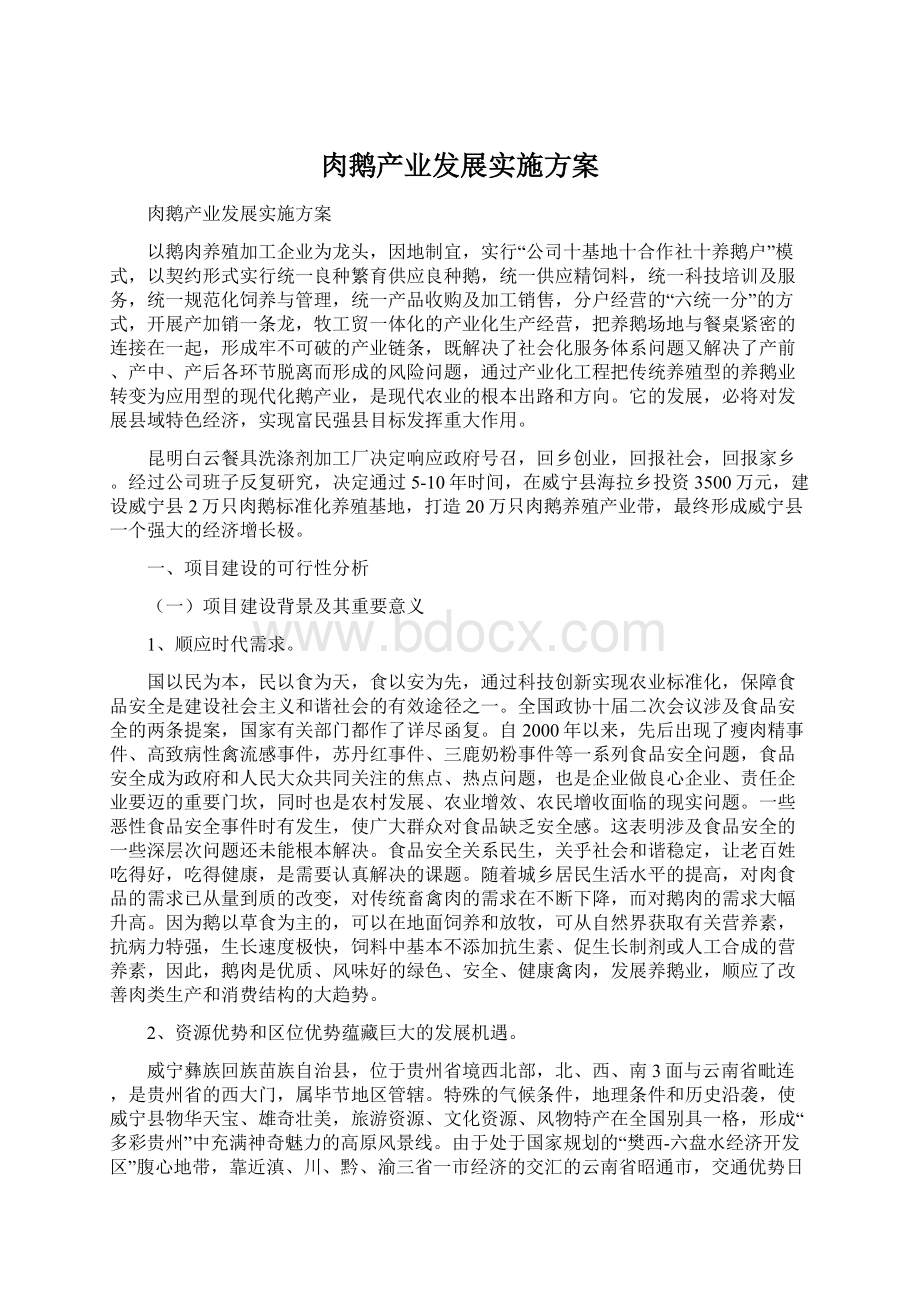 肉鹅产业发展实施方案Word文件下载.docx