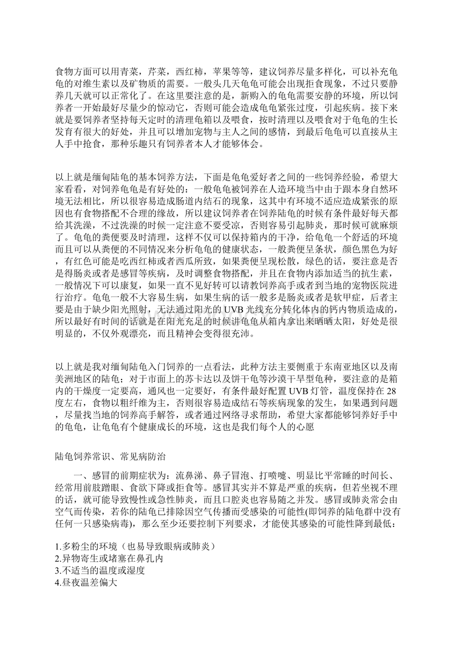 陆龟饲养入门Word格式文档下载.docx_第2页