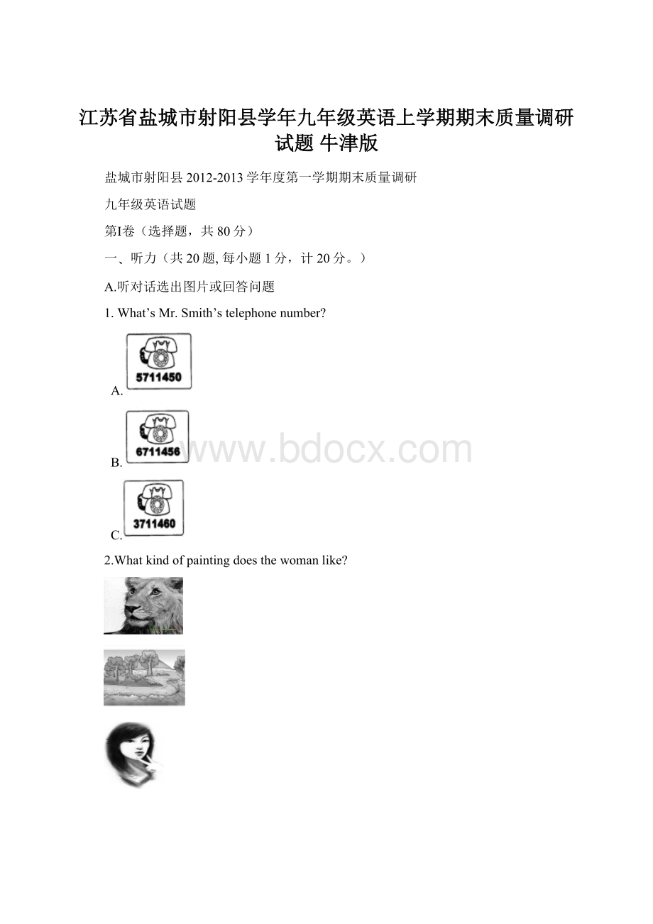 江苏省盐城市射阳县学年九年级英语上学期期末质量调研试题 牛津版.docx_第1页