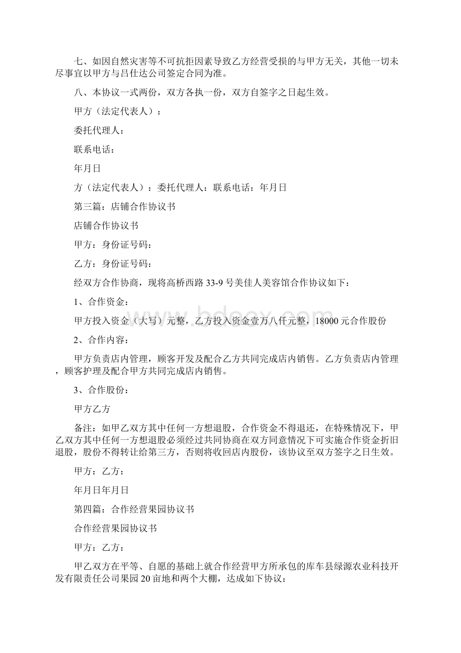 店铺经营合作协议书文档格式.docx_第3页