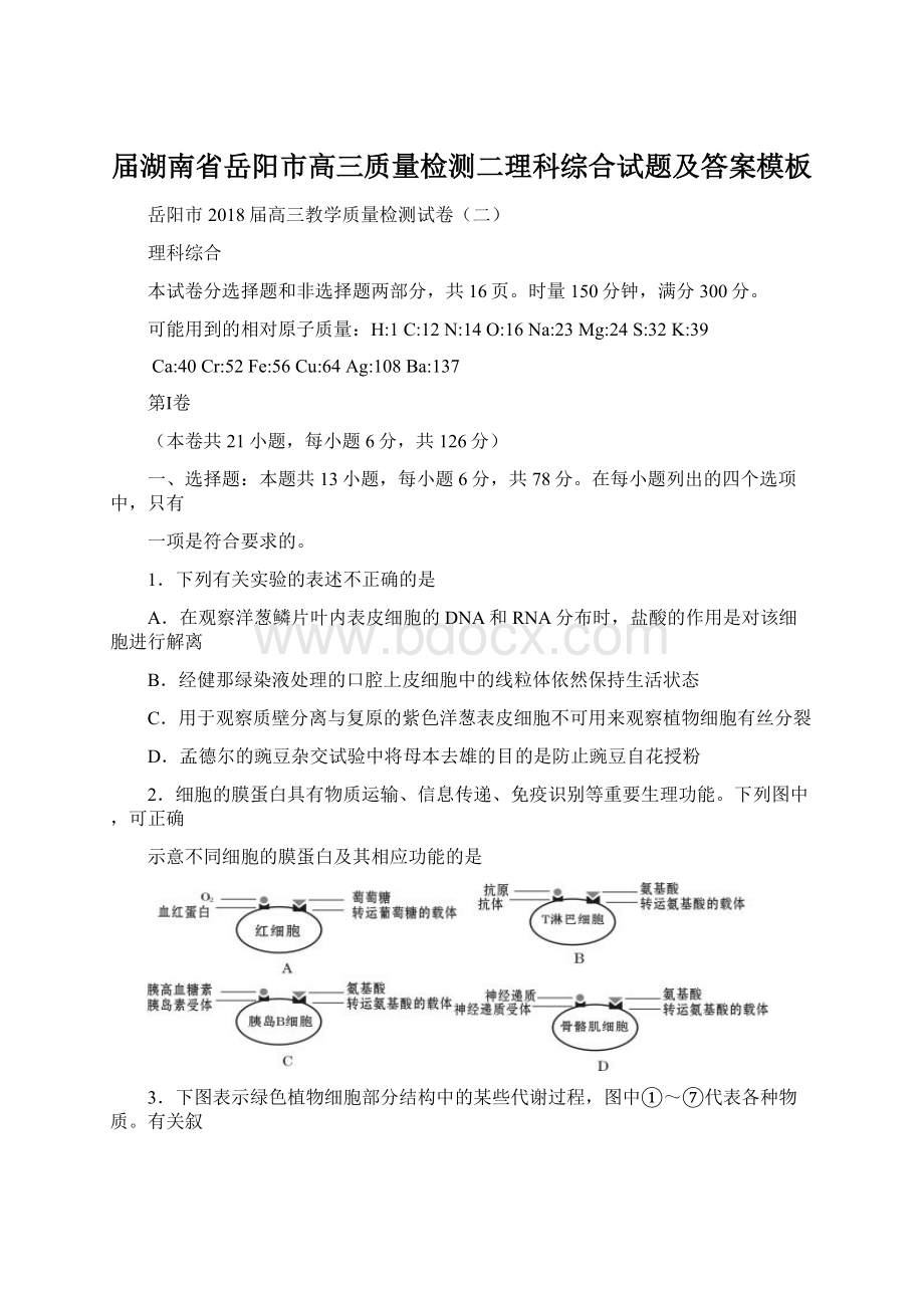 届湖南省岳阳市高三质量检测二理科综合试题及答案模板Word格式.docx