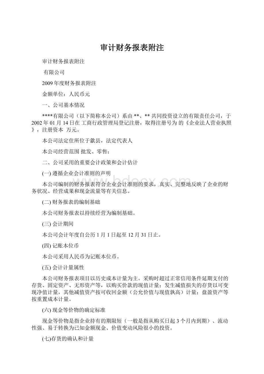 审计财务报表附注.docx_第1页