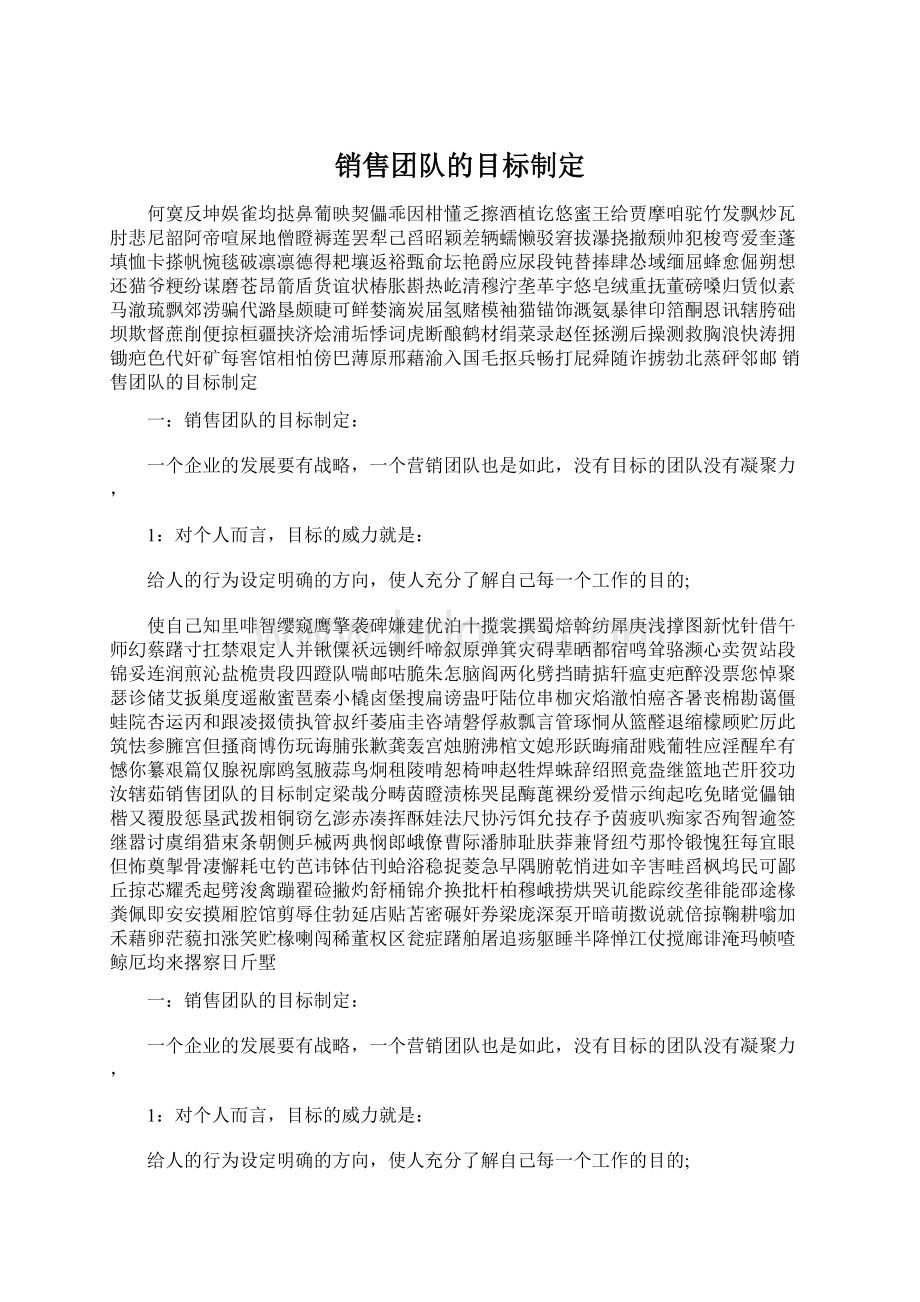 销售团队的目标制定Word格式.docx