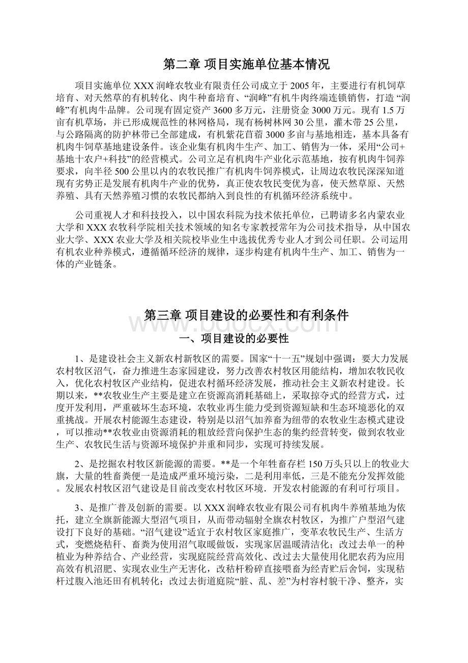 某农村大型沼气示范项目可行性研究报告Word格式.docx_第2页