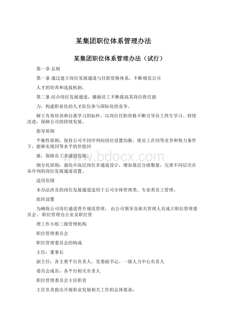 某集团职位体系管理办法Word文档格式.docx