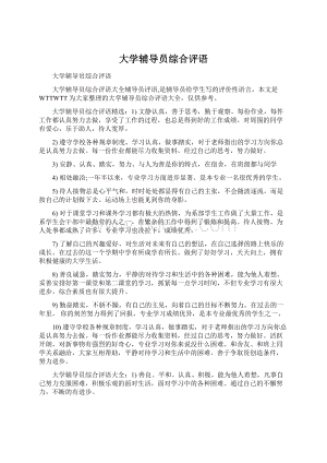 大学辅导员综合评语Word下载.docx