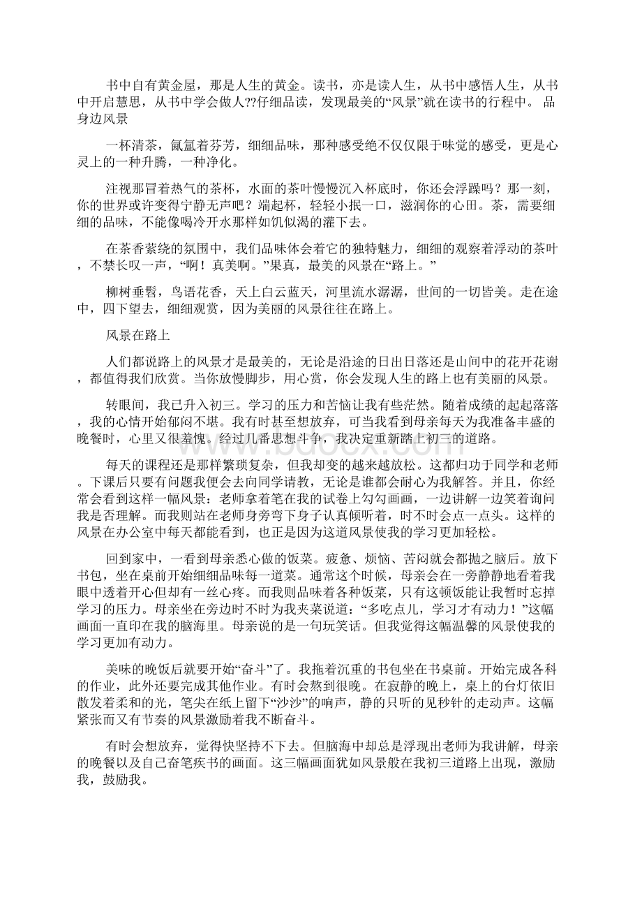 初三作文之作文初中总有一片风景属于自己Word文件下载.docx_第2页