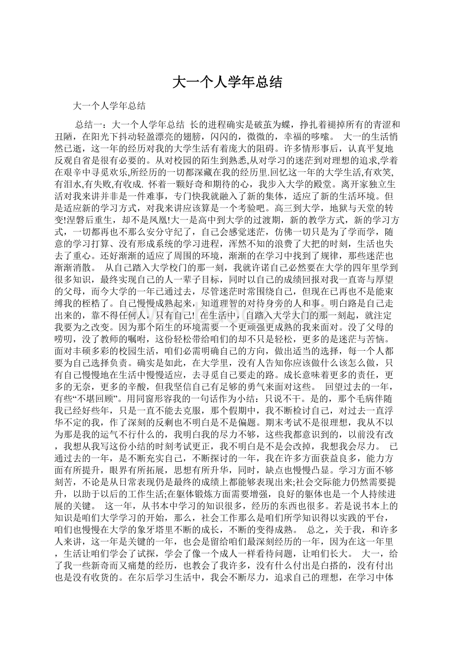 大一个人学年总结Word格式.docx