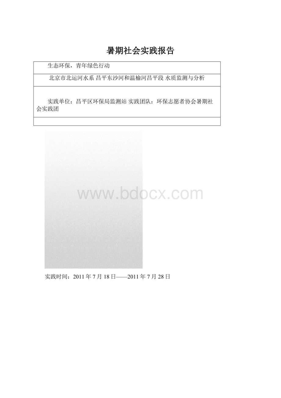 暑期社会实践报告.docx