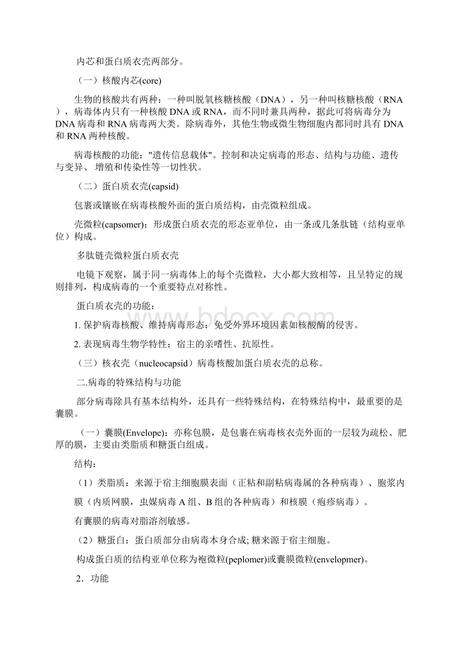 病毒学教案.docx_第3页