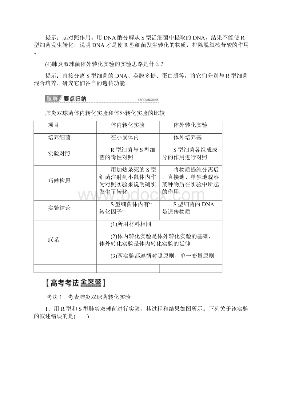 版高考生物一轮复习第6单元第1讲DNA是主要的遗传物质教学案新人教版Word文档格式.docx_第3页